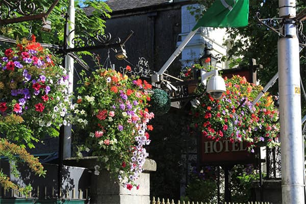 Image of LiffeyVale flowers in hanging baskets outside hotel