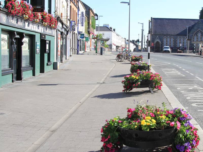 Image of LiffeyVale flowers in pots on Naas town main street