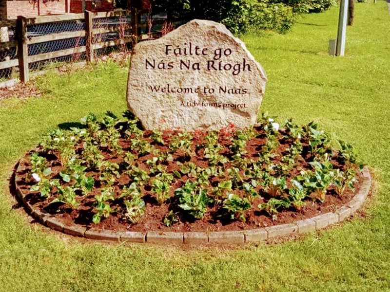 Liffey Vale Nurseries Floral Displays - Naas Tidy Towns welcome filled with flowers