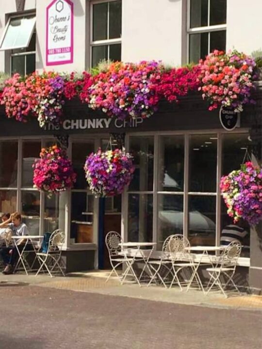 Liffey Vale Nurseries Floral Displays - restaurant entrance filled with flowers